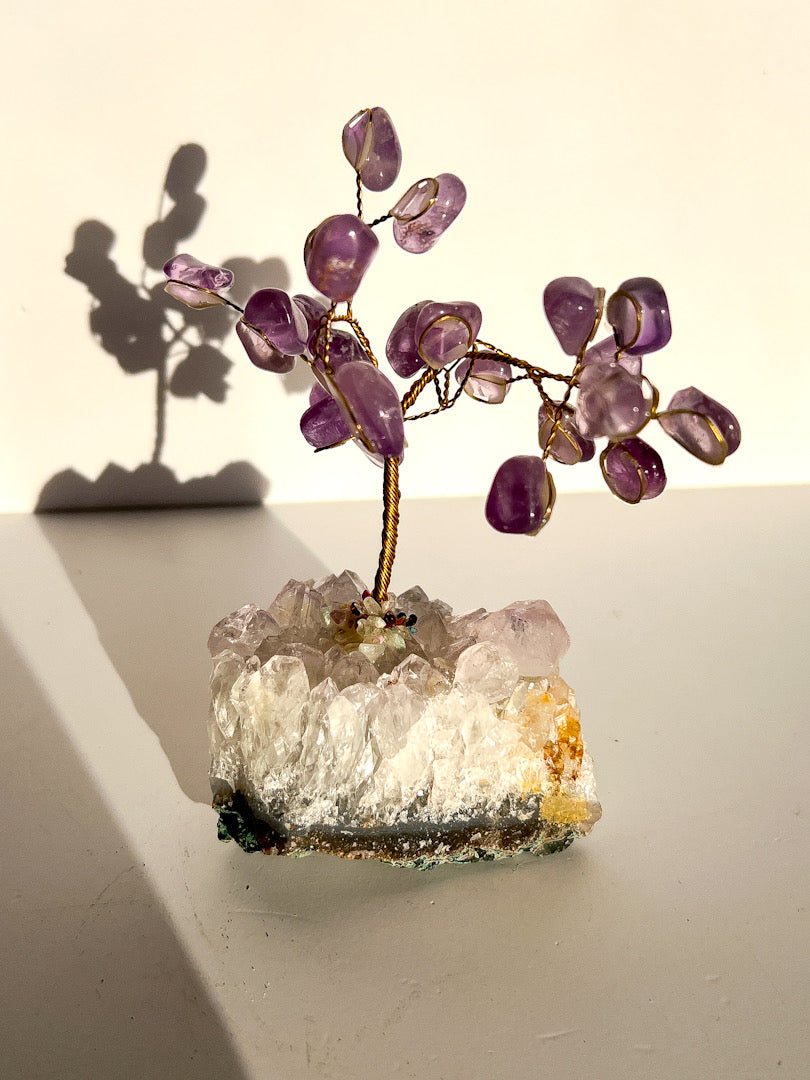 Amethyst crystal tree on a clear crystal base with a white background
