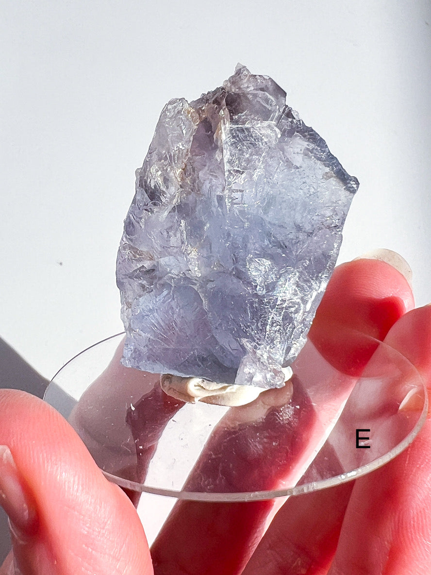 Raw Fluorite held between fingers with a white background