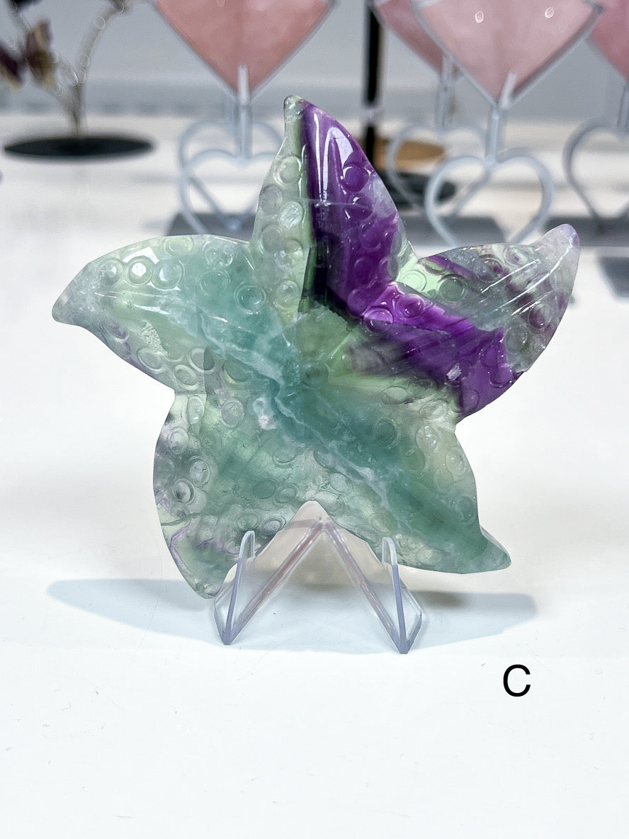 Green and purple crystal starfish on a stand with a blurred background