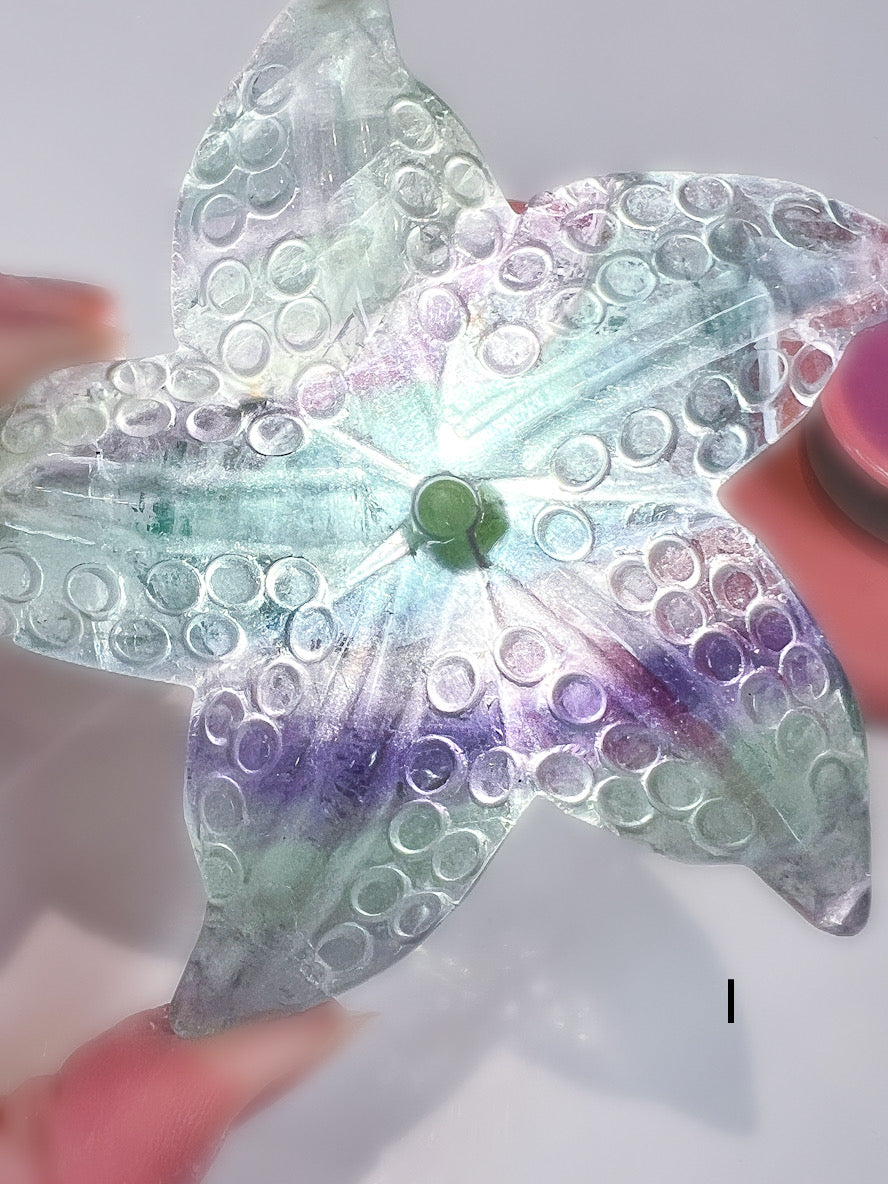 Holographic starfish-shaped object with circular patterns held by a hand against a white background