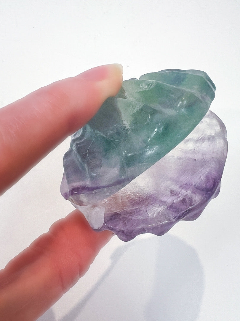 Fluorite Shell in hand with white background