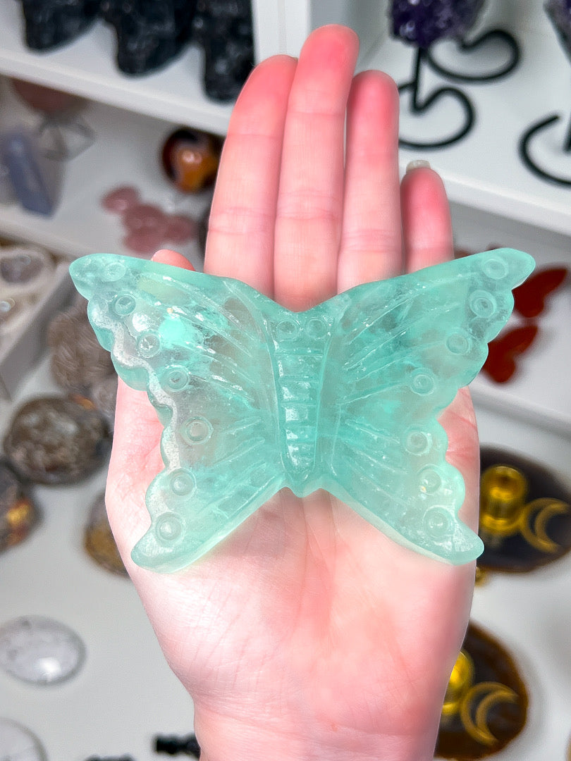 Hand holding a green butterfly-shaped object with a blurred background