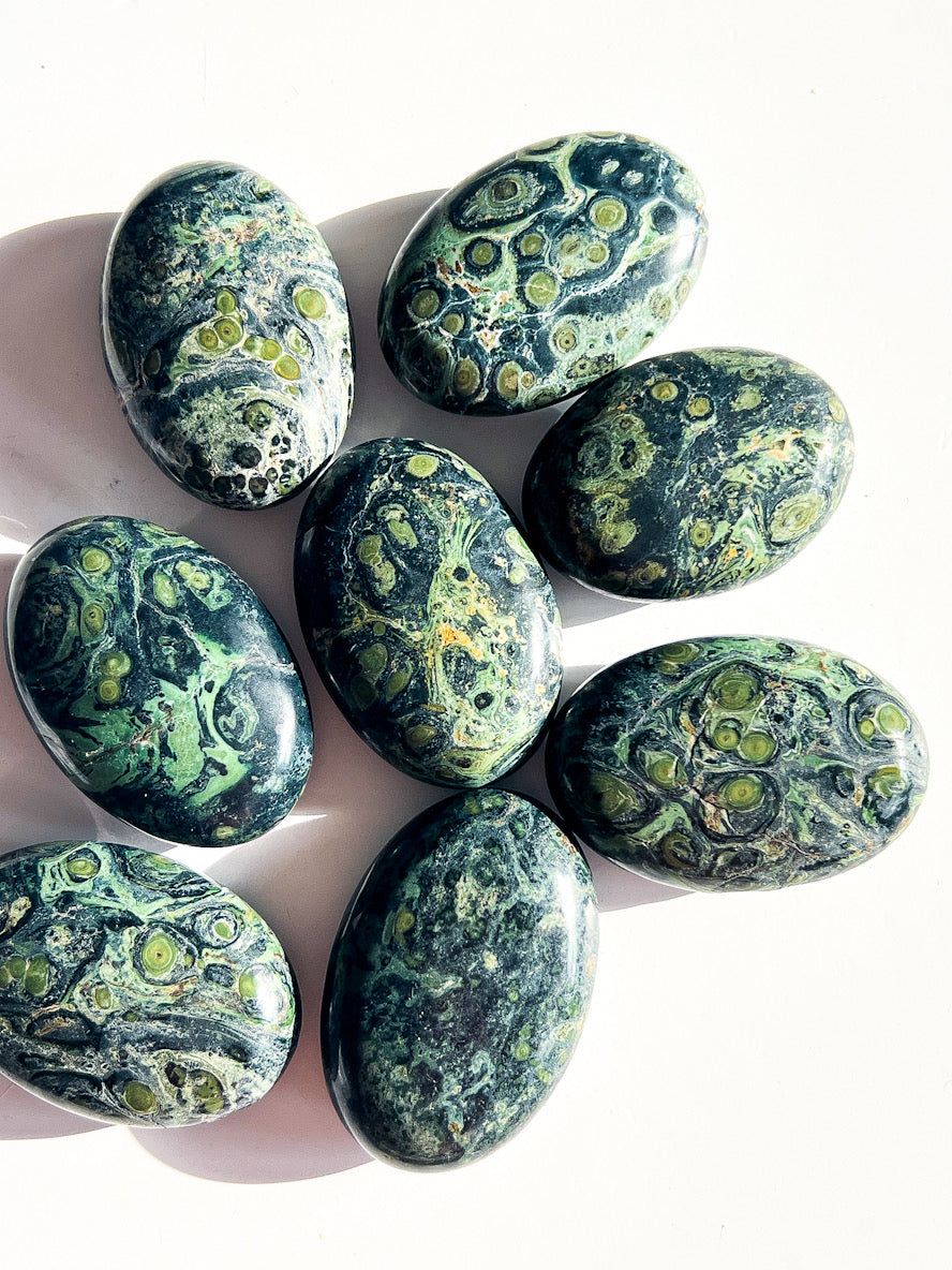 Kambaba Jasper Palm Stones on a white background