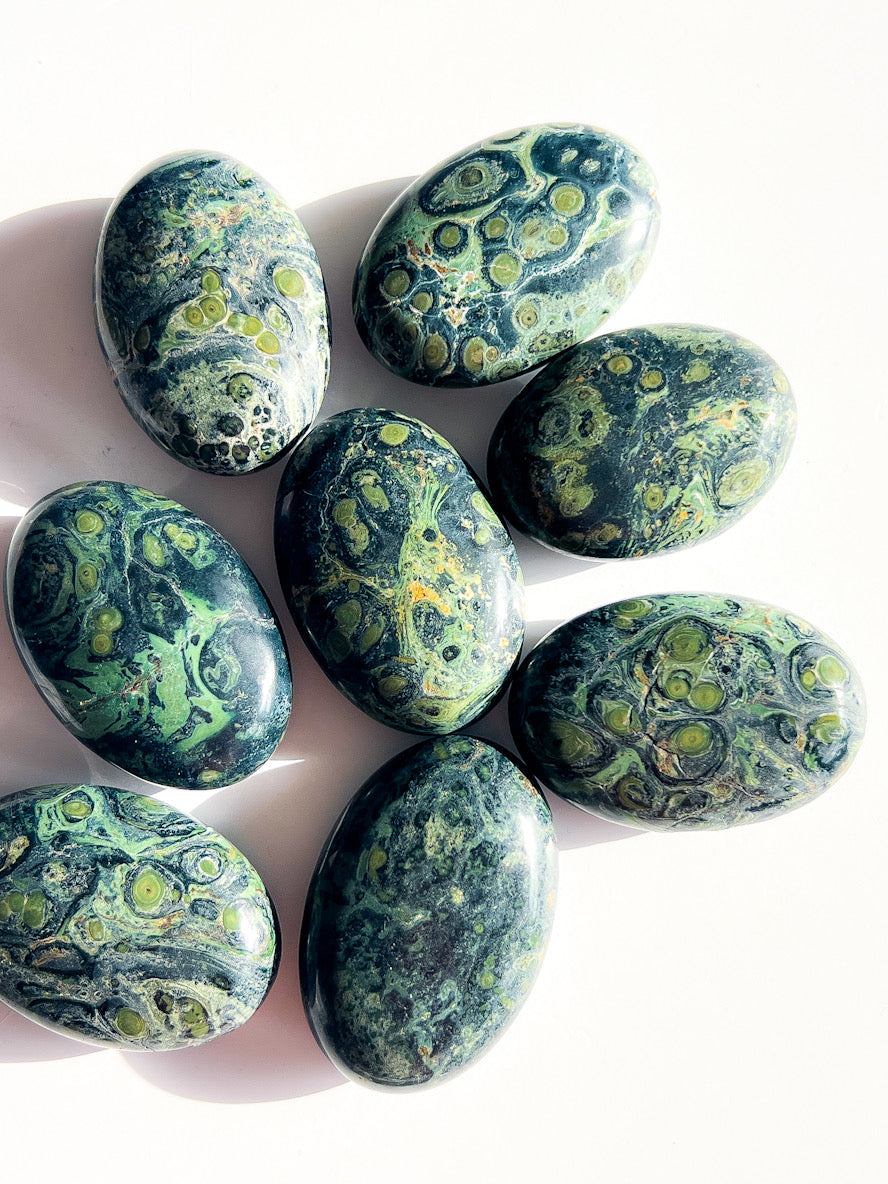 Kambaba Jasper Palm Stones on a white background.