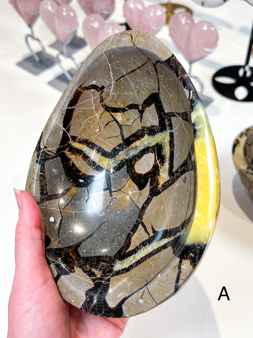 Polished stone with a unique pattern held by a hand, with blurred background