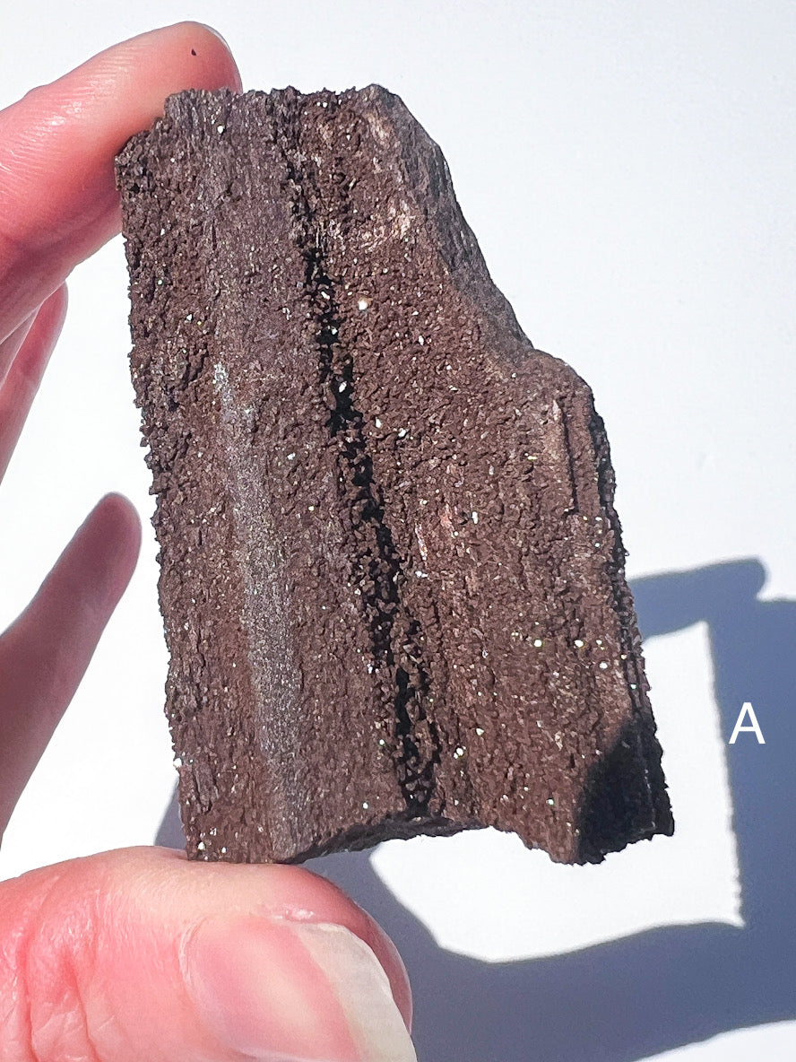 Hand holding a piece of dark brown rock or mineral against a white background