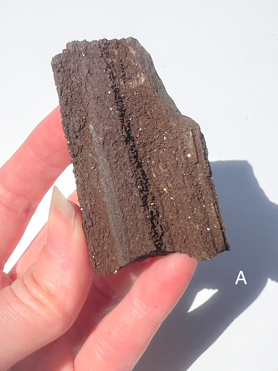 Hand holding a piece of dark brown rock or mineral against a white background