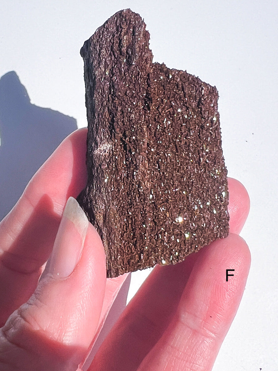 Hand holding a piece of dark brown rock or mineral against a light background