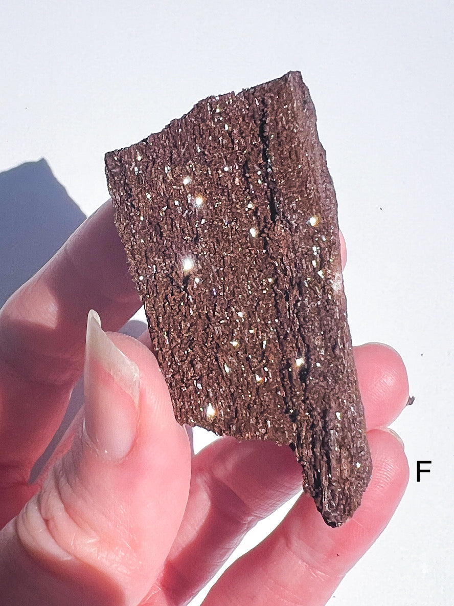 Hand holding a piece of dark brown rock with a white background