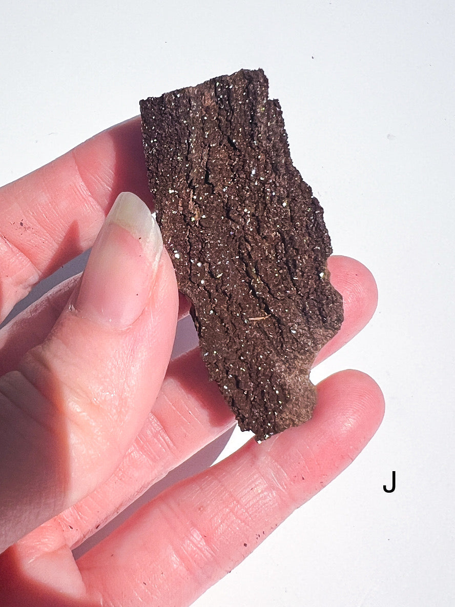 Hand holding a piece of dark brown rock or mineral against a white background