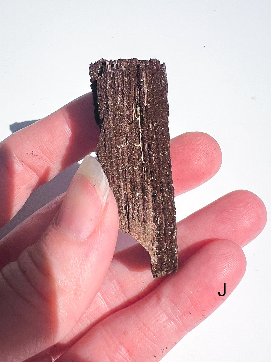 Hand holding a piece of dark brown rock or mineral against a white background