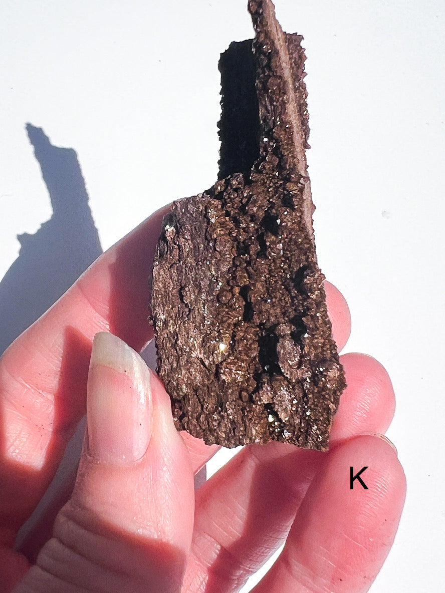 Hand holding a piece of dark brown rock or mineral against a white background