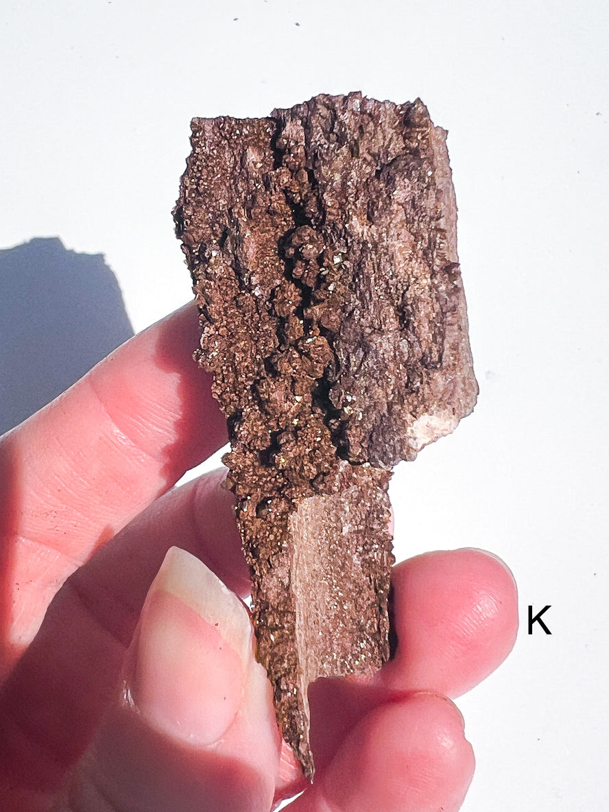 Hand holding a piece of dark brown rock or mineral against a white background