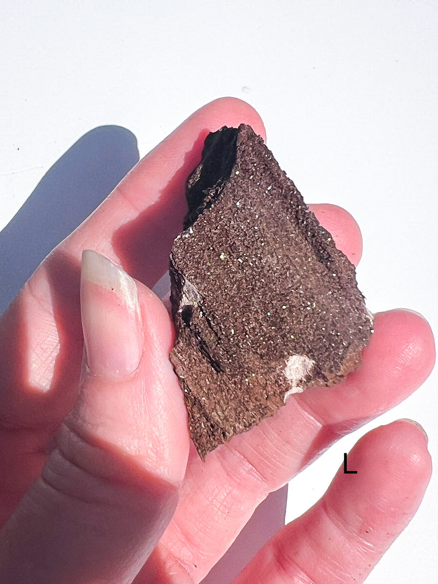 Hand holding a piece of dark brown rock against a white background