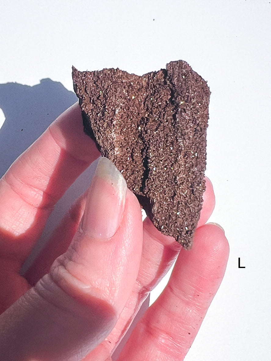 Hand holding a piece of dark brown mineral against a white background