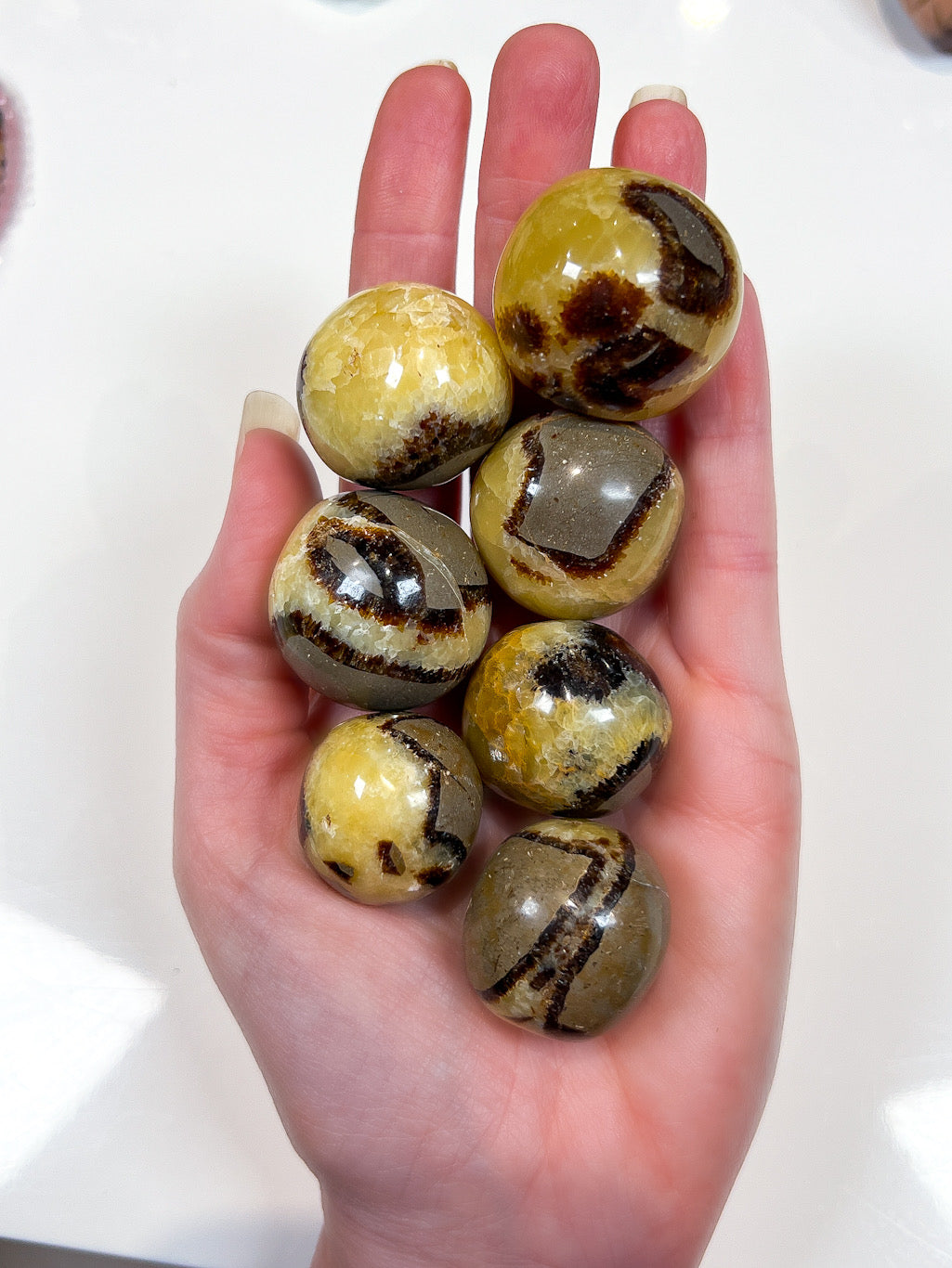 brown and yellow crystals on a hand with a white background.