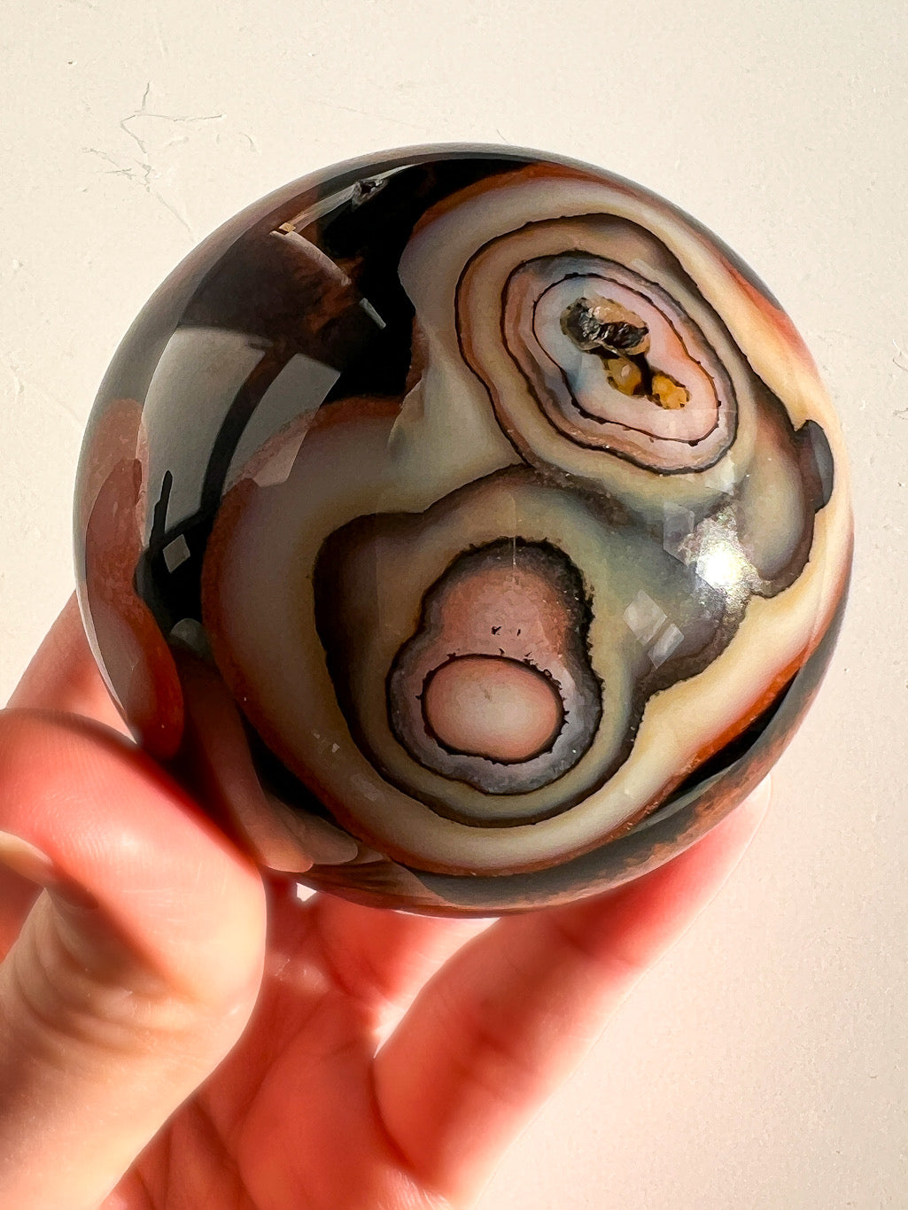 Person holding a polished stone with concentric color patterns