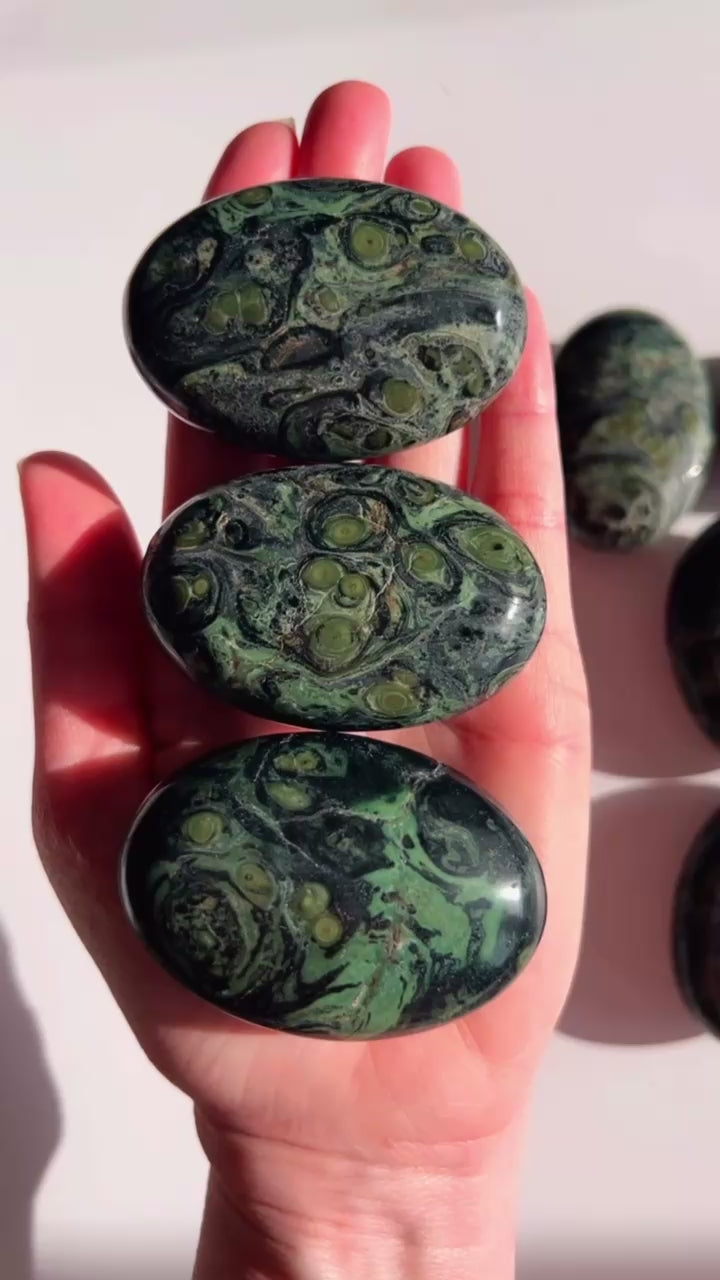 Kambaba Jasper Palm Stone in a hand with a white background.