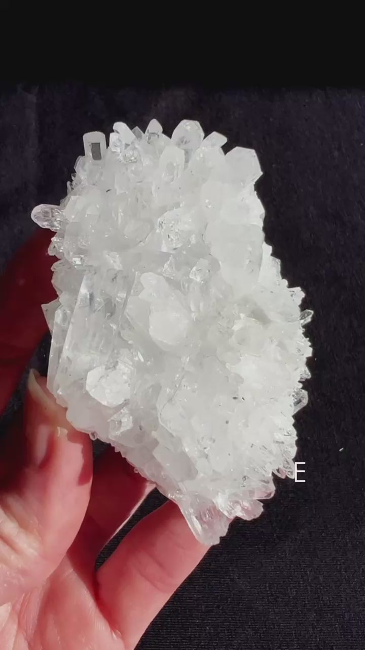 Chrysanthemum Quartz Cluster in hand with a black background.