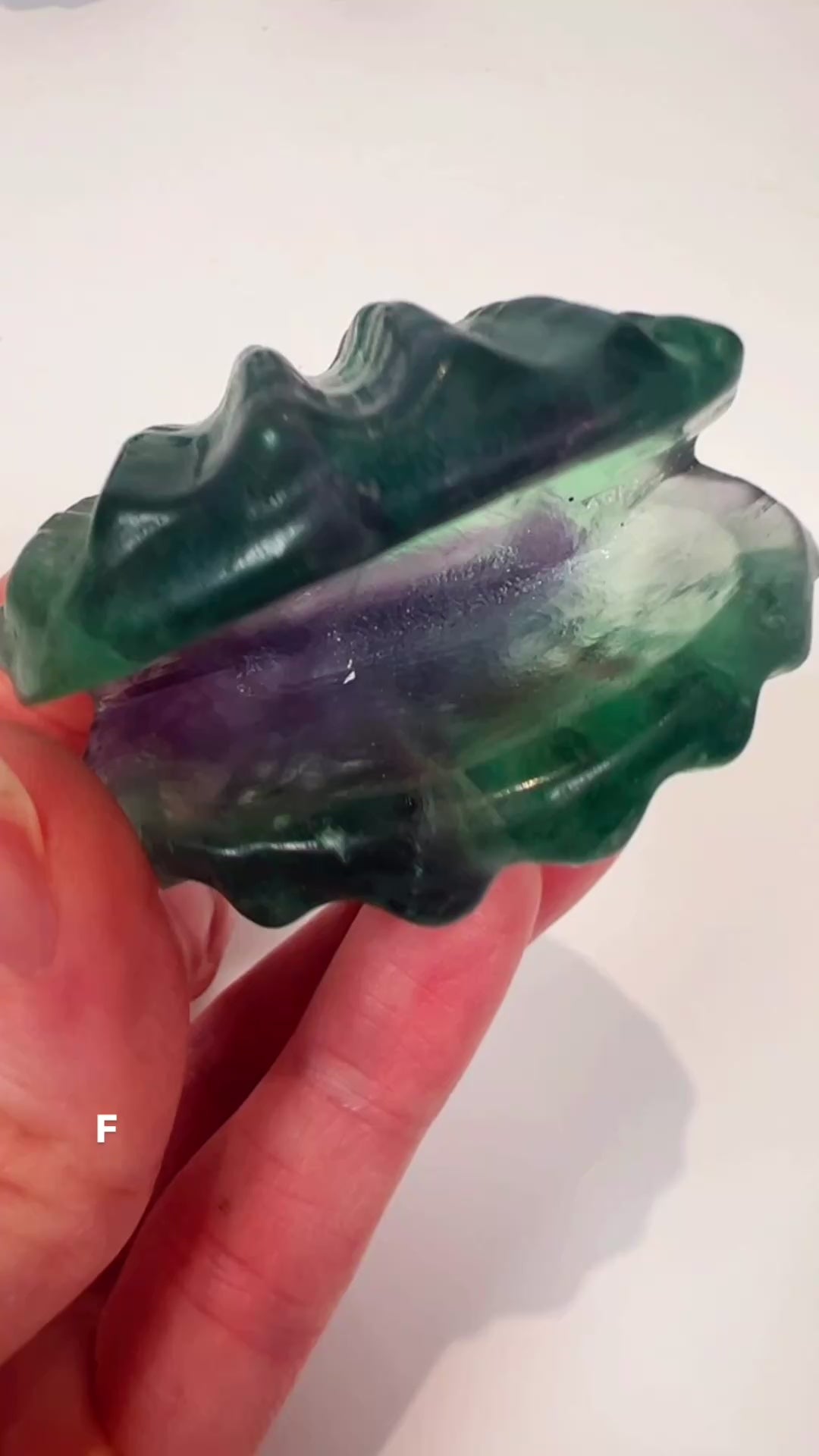 Fluorite Shell Carving | F