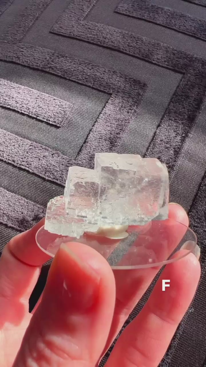 Clear Halite Crystal Specimens from Poland in a hand with a stripey black background.