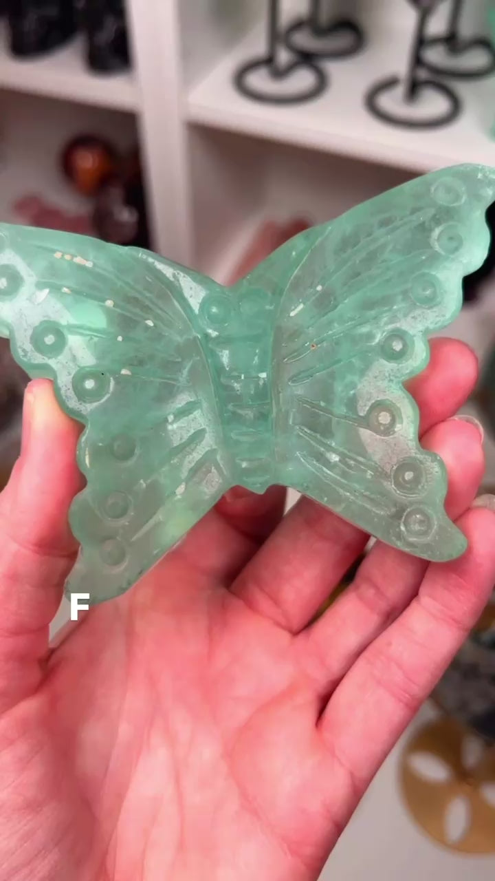 Fluorite Butterfly | F