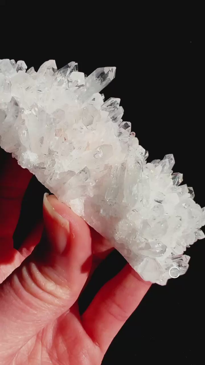 Chrysanthemum Quartz Cluster in hand with black background.
